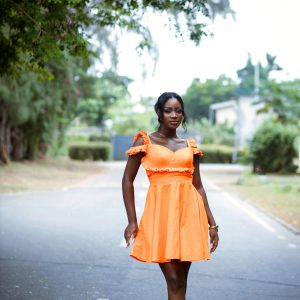 ZARA DRESS