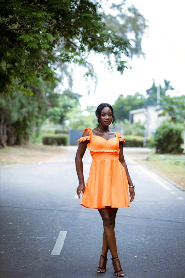 ZARA DRESS