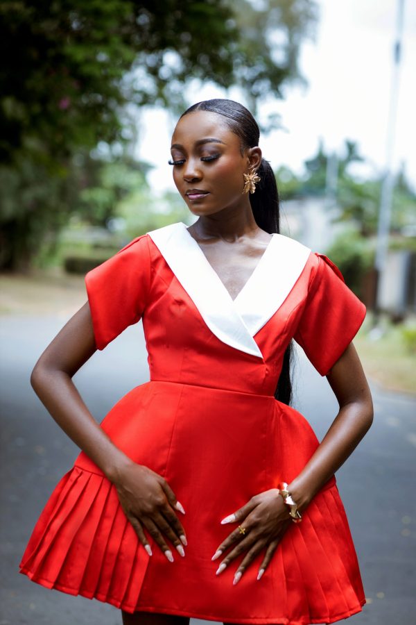 RACHAEL DRESS - Image 4