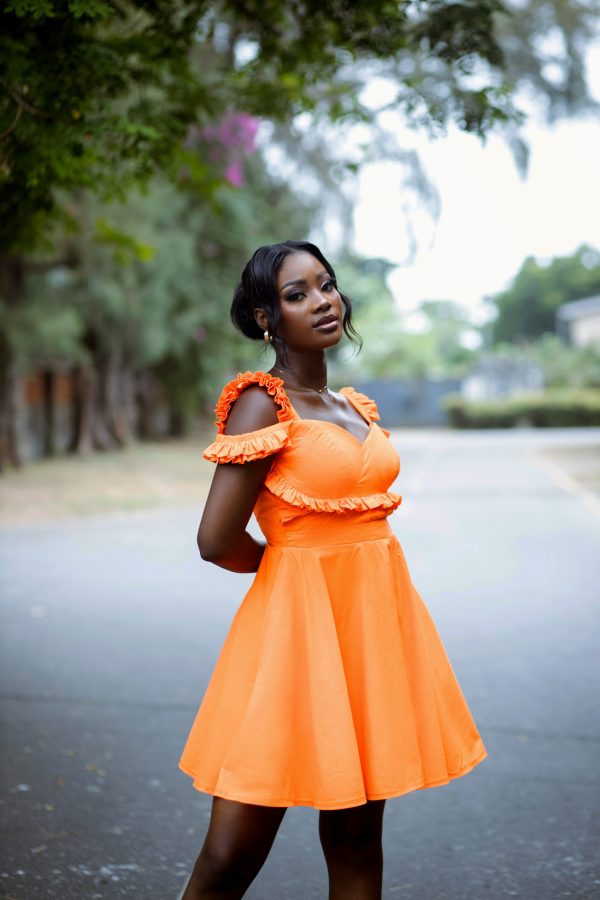 ZARA DRESS - Image 3