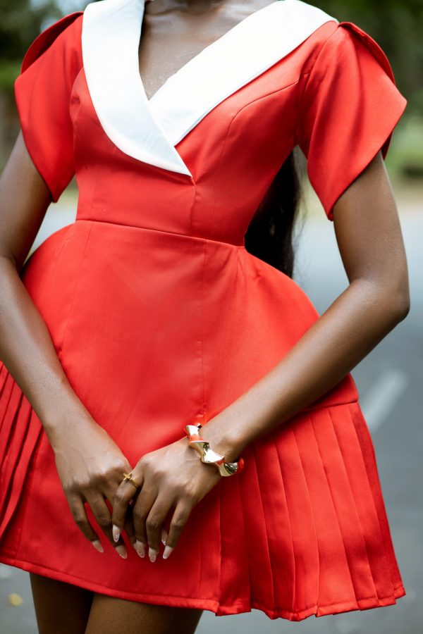 RACHAEL DRESS - Image 3